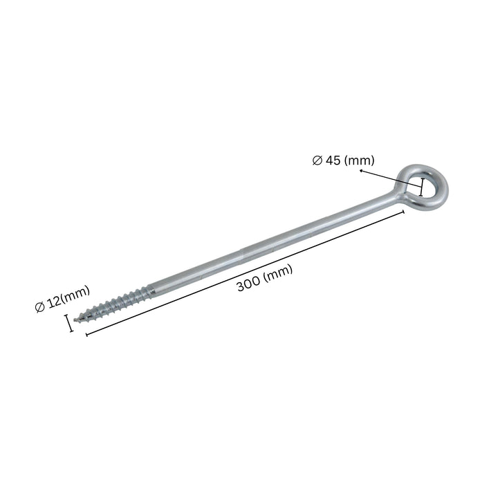 Scaffolding Eyebolt